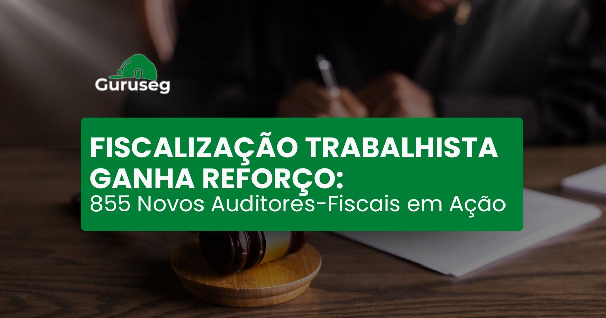 novos auditores fiscais trabalho 2025